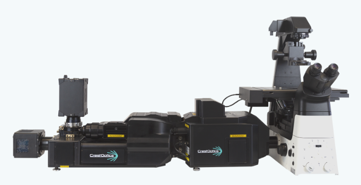 Nikon DeepSIM super-resolution module